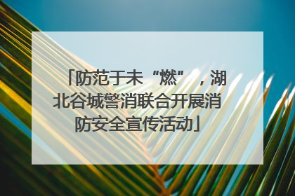 防范于未“燃”，湖北谷城警消联合开展消防安全宣传活动